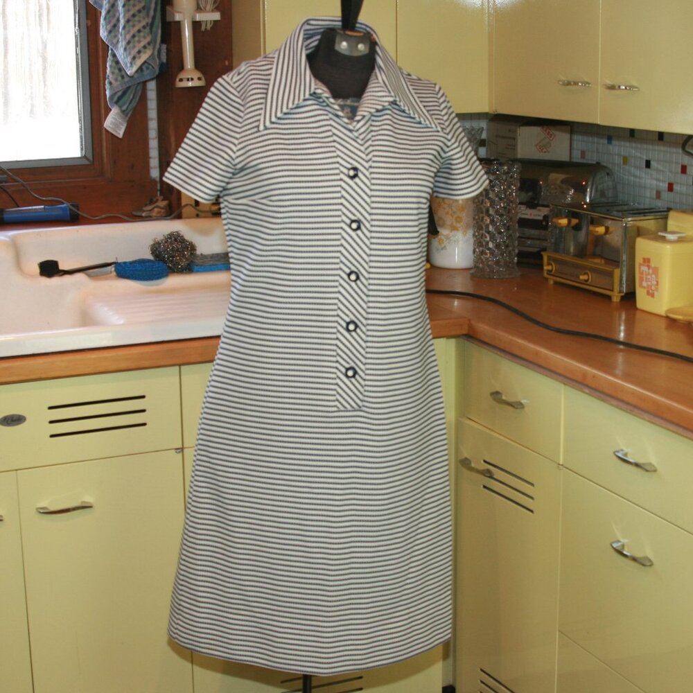 Serbin of Florida Vintage Hipster Dress 70s Women's Wear